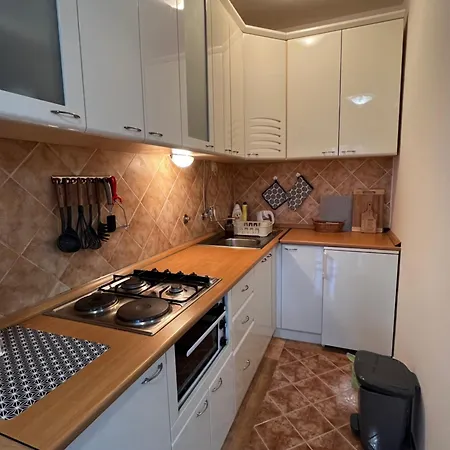 Stari Vlah Apartment