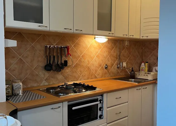 Apartman Stari Vlah *